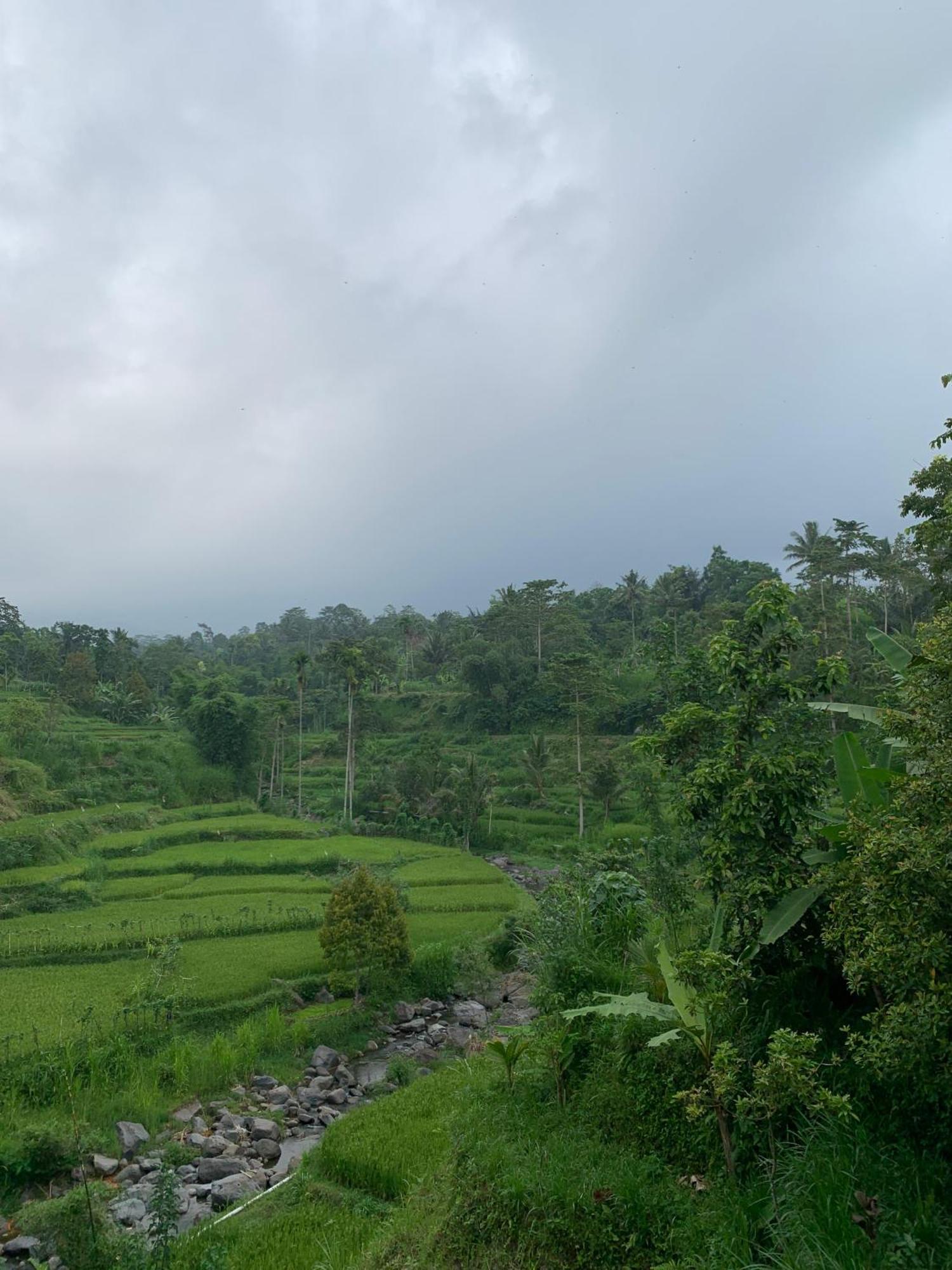 Avocado Homestay Tetebatu Exterior photo