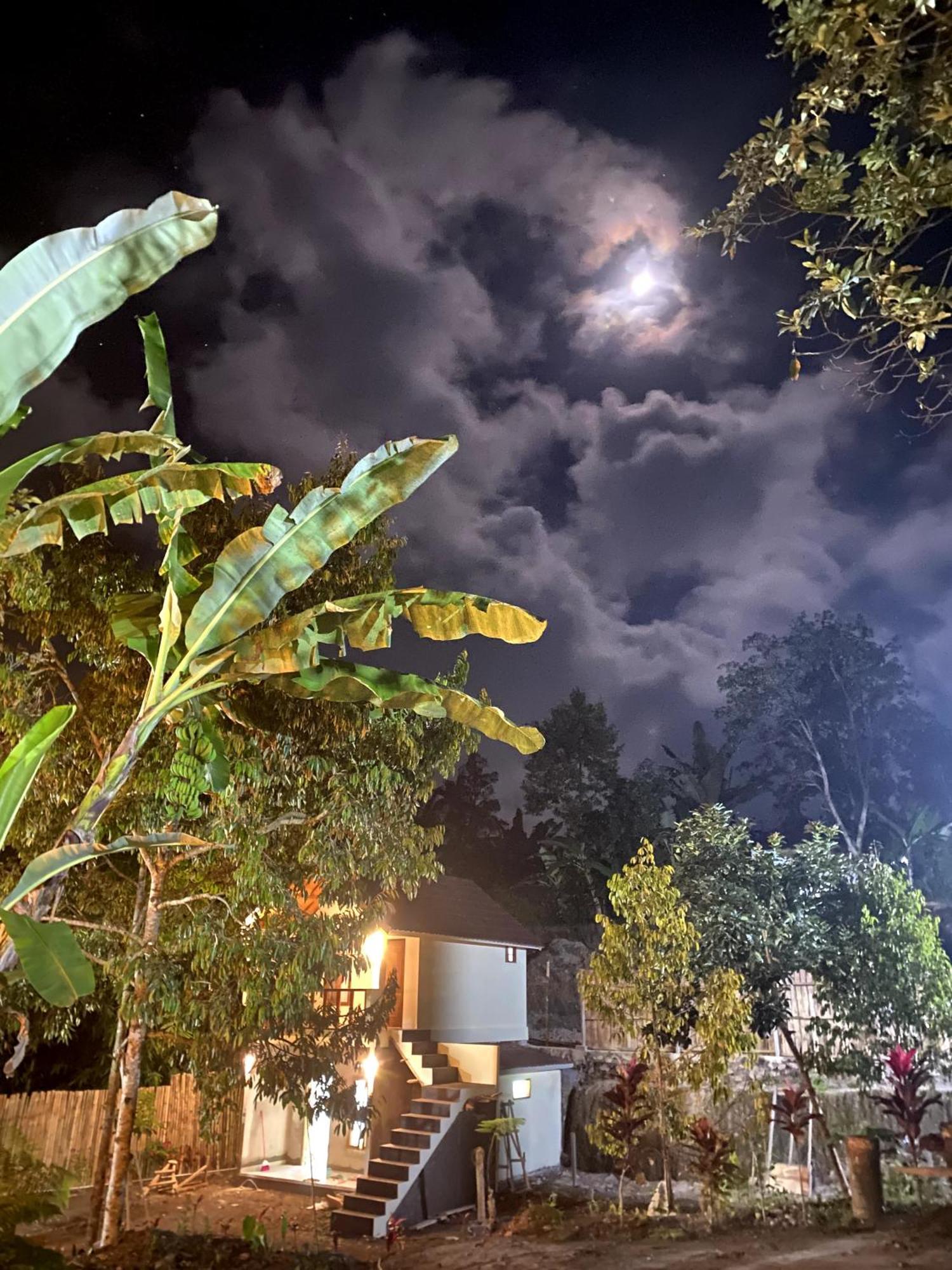 Avocado Homestay Tetebatu Exterior photo